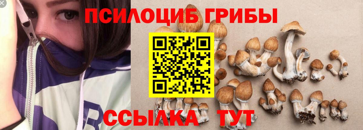 Псилоцибиновые грибы GOLDEN TEACHER  Вход с VPN  как найти закладки  Стрежевой  Галлюциногенные грибы GOLDEN TEACHER 